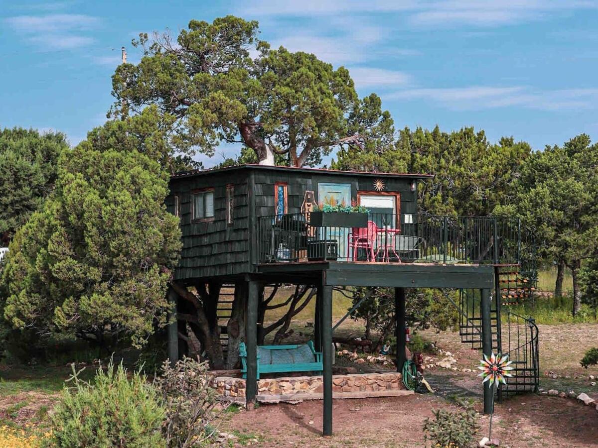 Nogal Ashley'S Treehouse At El Mistico Ranch 빌라 외부 사진