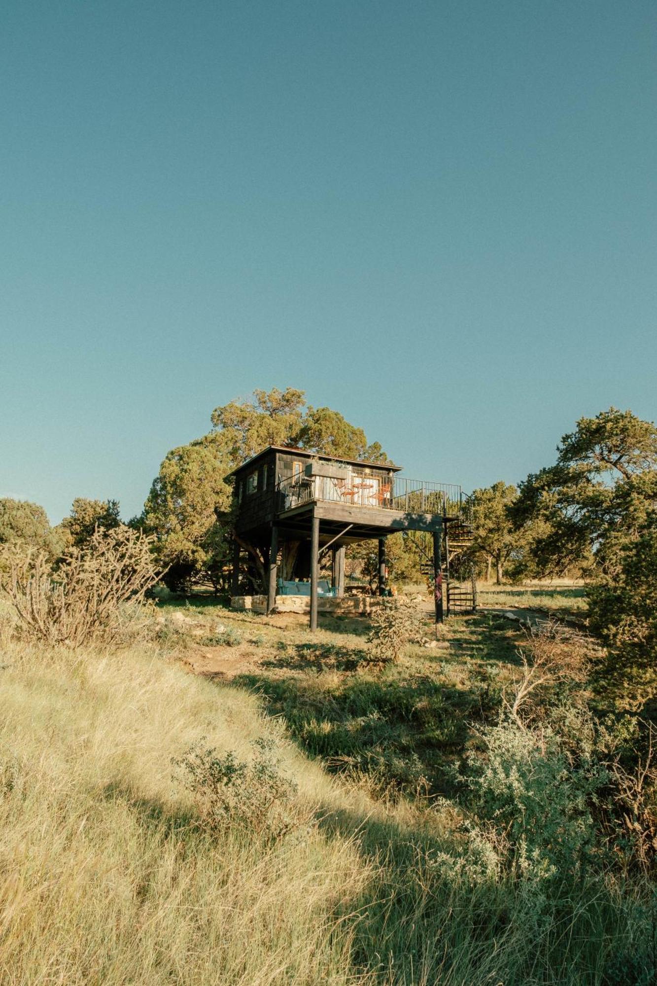 Nogal Ashley'S Treehouse At El Mistico Ranch 빌라 외부 사진